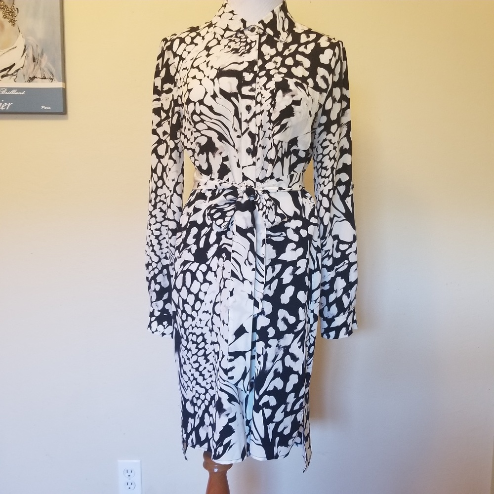 Diane Von Furstenberg Silk Dress